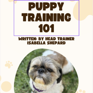 Welcome to Puppyhood: Puppy Training 101